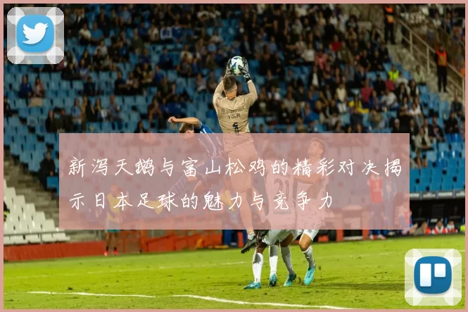 新泻天鹅与富山松鸡的精彩对决揭示日本足球的魅力与竞争力